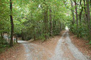 The Path of Life