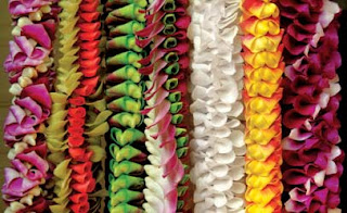 Notre Dame Fans To Wear Leis